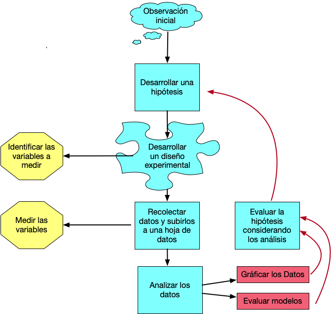 El proceso de Investigación